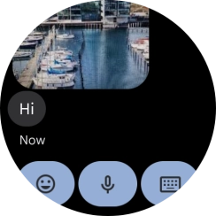 Press the microphone icon. Press the microphone icon.