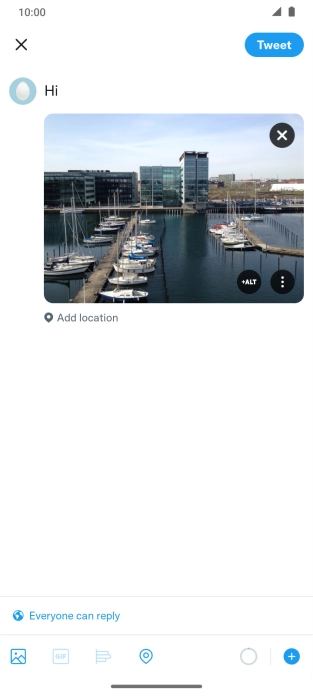 Write the required text and press Tweet.