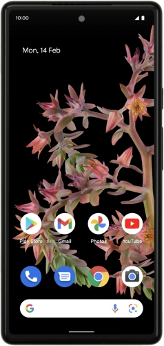 Google Pixel 6 Google Pixel 6