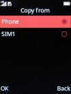 Select SIM.