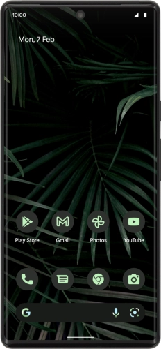 Google Pixel 6 Pro Google Pixel 6 Pro