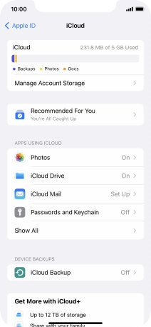 Press iCloud Backup. Press iCloud Backup.