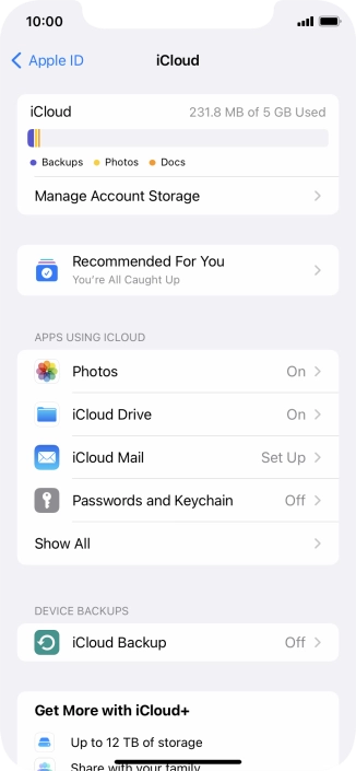 Press iCloud Backup. Press iCloud Backup.
