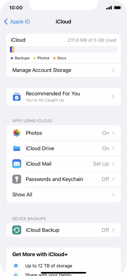 Press iCloud Backup. Press iCloud Backup.