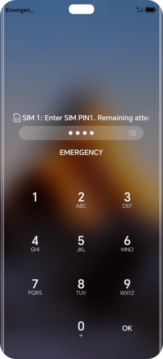 If your SIM is locked, key in your PIN and press OK.