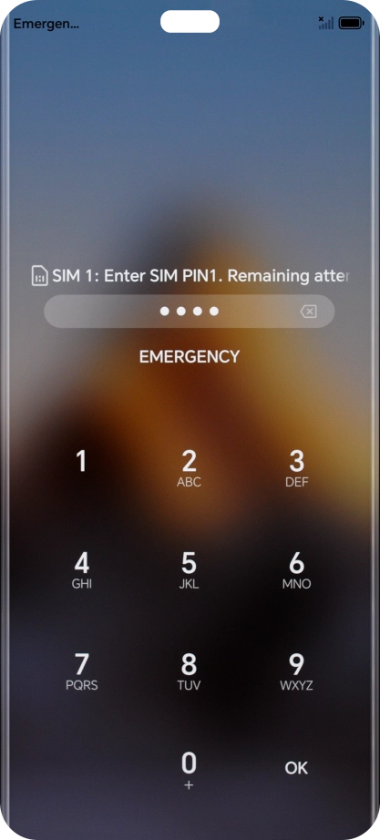 If your SIM is locked, key in your PIN and press OK.