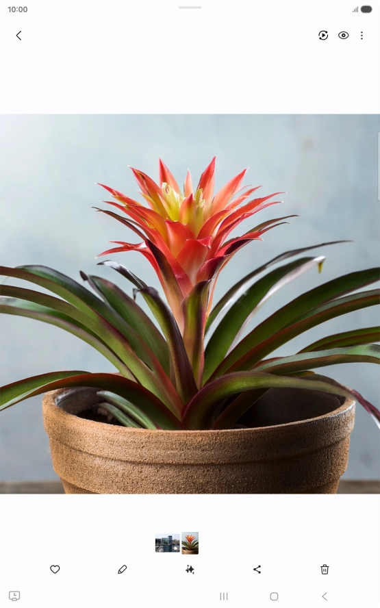 Go to the required picture.