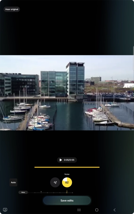 Press Mute to completely remove the selected audio type from the video.