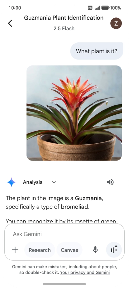 Follow the instructions on the screen to type or speak the required question. You can also attach pictures or documents and ask questions to them. Follow the instructions on the screen to type or speak the required question. You can also attach pictures or documents and ask questions to them.