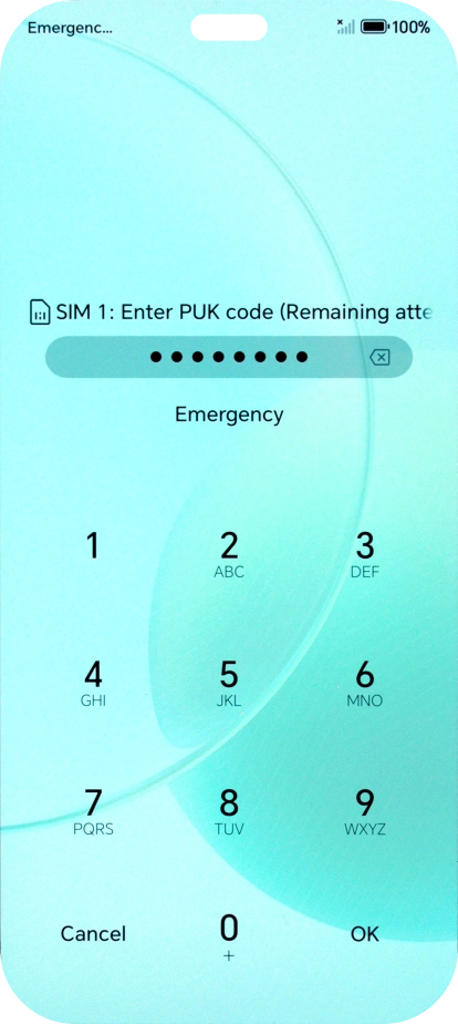 Key in the PUK and press OK.