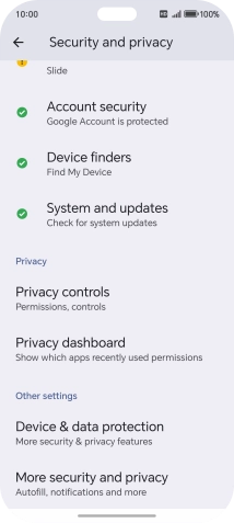 Press Privacy dashboard.
