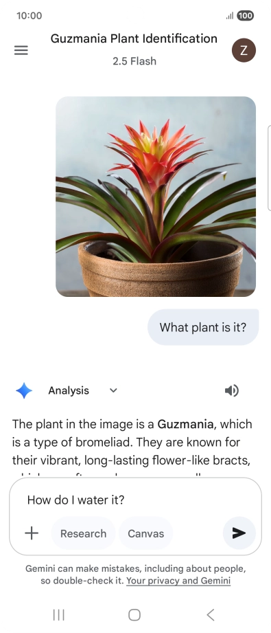Follow the instructions on the screen to type or speak more questions to continue the conversation.