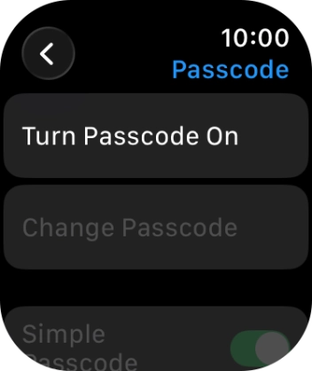 Press Turn Passcode On and key in a lock code of your own choice twice.