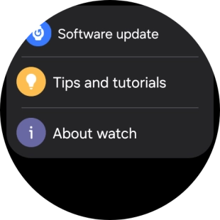 Press Software update.