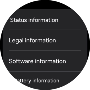 Press Software information.