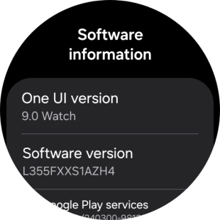 The software version of your smartwatch is displayed below One UI version.