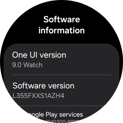 The software version of your smartwatch is displayed below One UI version.