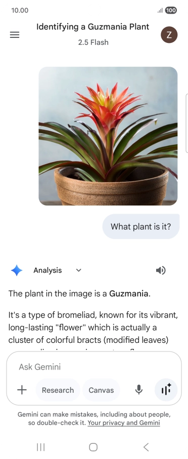 Follow the instructions on the screen to type or speak the required question. You can also attach pictures or documents and ask questions to them.