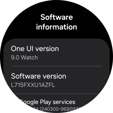 The software version of your smartwatch is displayed below One UI version.