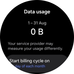The total data usage is displayed. The total data usage is displayed.
