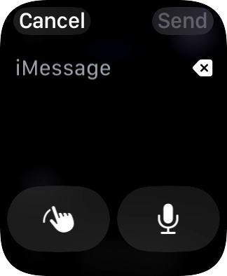 Press the microphone icon and record the message.