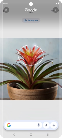 Draw a circle around the required object on the picture and wait for the search results.