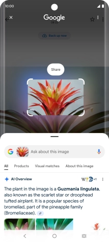 Follow the instructions on the screen to use the search results.