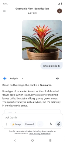 Follow the instructions on the screen to type or speak the required question. You can also attach pictures or documents and ask questions to them.