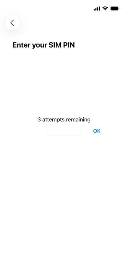 If your SIM is locked, key in your PIN and press OK.