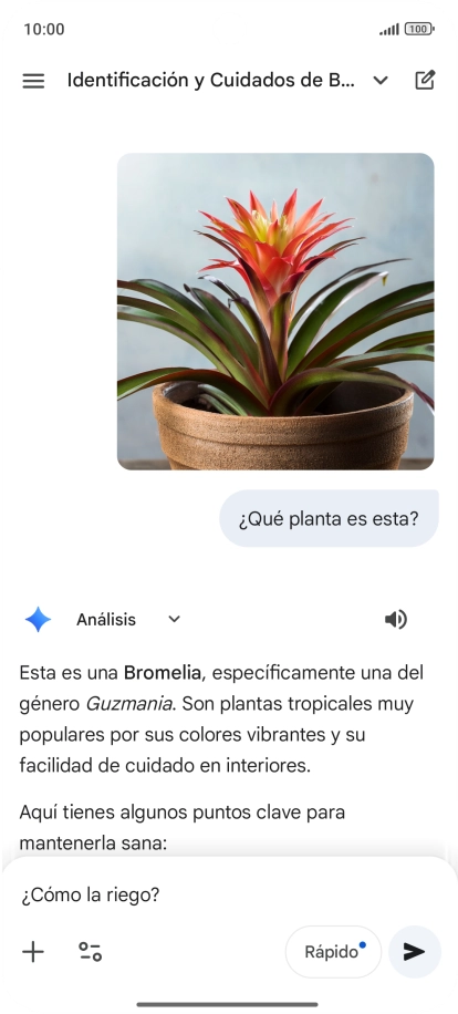 Sigue las indicaciones de la pantalla para escribir o decir en alto más preguntas y continuar la conversación.