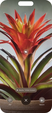 For information about animals and plants, press the information field.