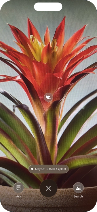 For information about animals and plants, press the information field.