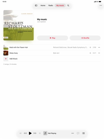 Go to the required category or playlist and press the required audio file.