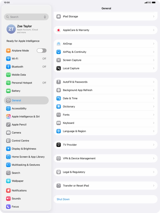Press Transfer or Reset iPad.