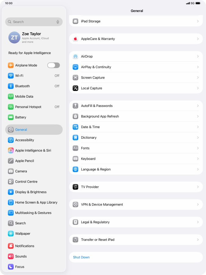 Press Transfer or Reset iPad.