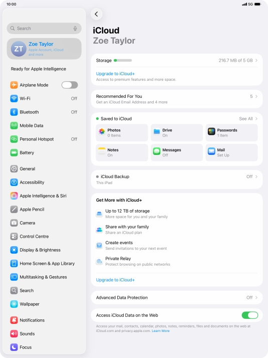 Press iCloud Backup.