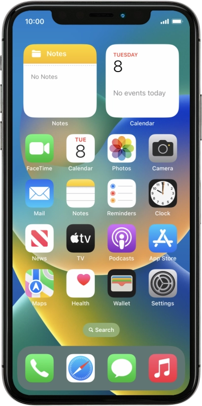 Apple iPhone X