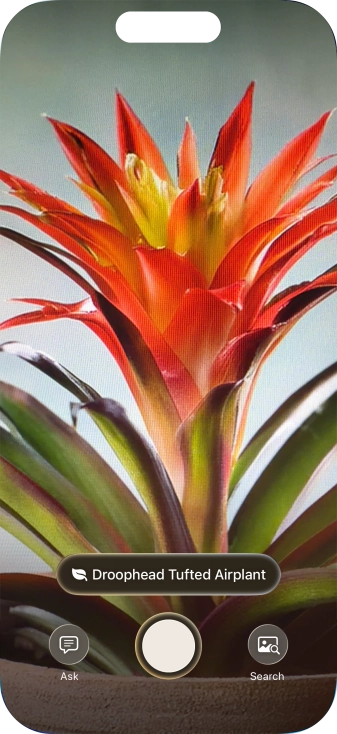 For information about animals and plants, press the information field.