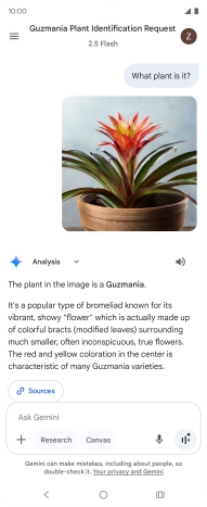 Follow the instructions on the screen to type or speak the required question. You can also attach pictures or documents and ask questions to them.