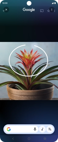 Draw a circle around the required object on the picture and wait for the search results.