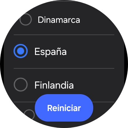 Pulsa Reiniciar.