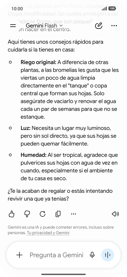 Sigue las indicaciones de la pantalla para escribir o decir en alto la pregunta deseada. Puedes adjuntar fotografías o documentos y hacer preguntas acerca de ellos.