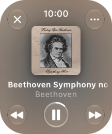 Turn the Digital Crown to select the required volume. Turn the Digital Crown to select the required volume.