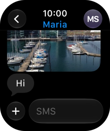 Press SMS. Press SMS.