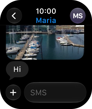 Press SMS. Press SMS.