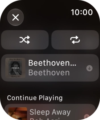 Press the shuffle icon to turn the function on or off. Press the shuffle icon to turn the function on or off.