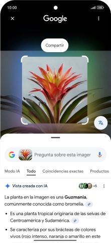 Sigue las indicaciones de la pantalla para utilizar los resultados de búsqueda.