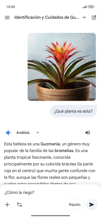 Sigue las indicaciones de la pantalla para escribir o decir en alto más preguntas y continuar la conversación.