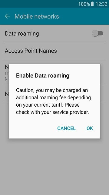 If you turn on data roaming:Press OK to confirm.