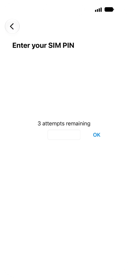 If your SIM is locked, key in your PIN and press OK.
